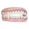 Spirit Halloween Vampire Teeth 2 Spirit Halloween Vampire Teeth -HALLOWEEN COSTUMES Sales 00118307 a