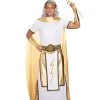 Spirit Halloween Adult Zeus Costume