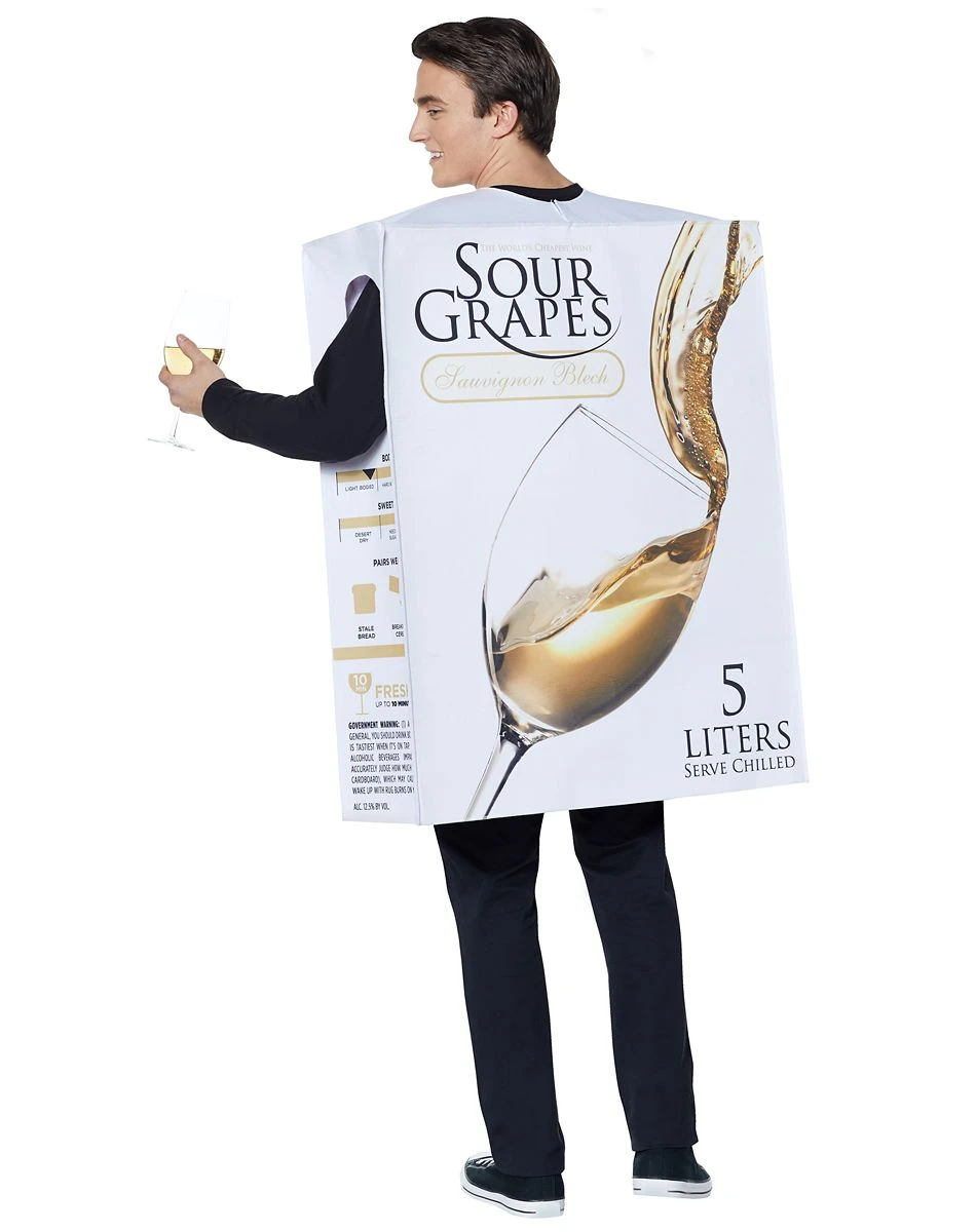 Spirit Halloween Adult Box Of Wine Costume 4 Spirit Halloween Adult Box Of Wine Costume - Image 2