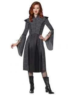 Spirit Halloween Adult Medieval Dress Costume