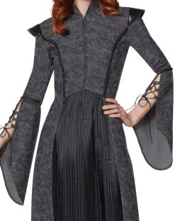 Spirit Halloween Adult Medieval Dress Costume -HALLOWEEN COSTUMES Sales 01449479 c