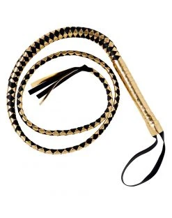 Spirit Halloween Ringmaster Whip