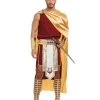 Spirit Halloween Adult Apollo Costume -HALLOWEEN COSTUMES Sales 01519875 a
