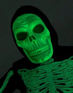 Spirit Halloween Kids Glow Skeleton Costume -HALLOWEEN COSTUMES Sales 01525179 d