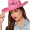 Spirit Halloween Pink Straw Cowboy Hat -HALLOWEEN COSTUMES Sales 01573021 a
