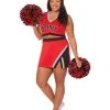 Spirit Halloween Adult Cheerleader Plus Size Costume -HALLOWEEN COSTUMES Sales 01576362 a