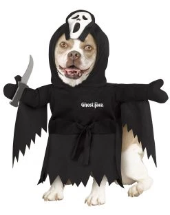 Spirit Halloween Ghost Face ® Pet Costume