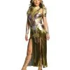 Spirit Halloween Adult Hippolyta Costume Deluxe - DC Comics -HALLOWEEN COSTUMES Sales 07468481 a